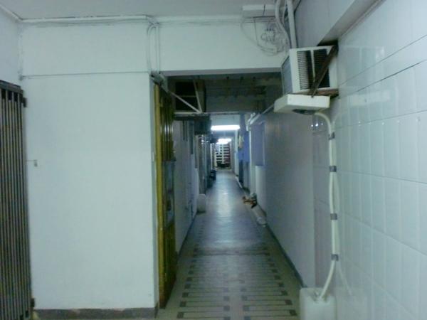 CIMG3513.JPG